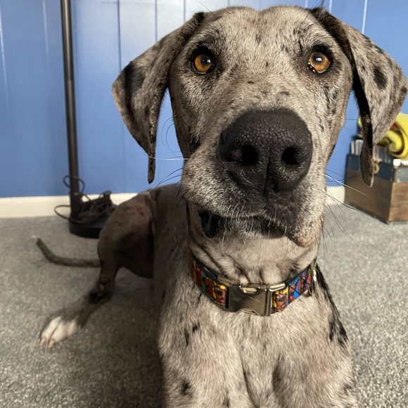 Hello! If you are here, thank you for checking out my page. I appreciate you! 🧡 - Picture 13 of 16